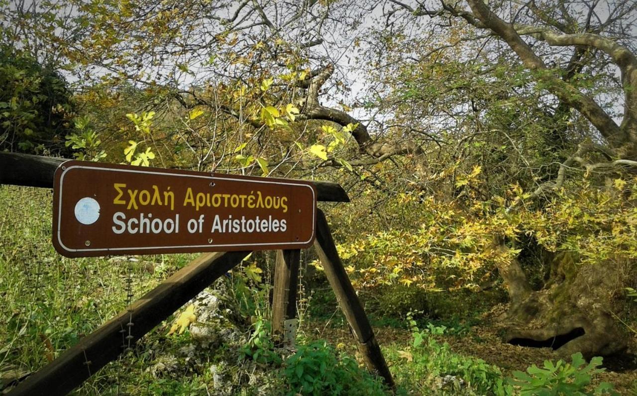 Mylos Arkochorion Экстерьер фото